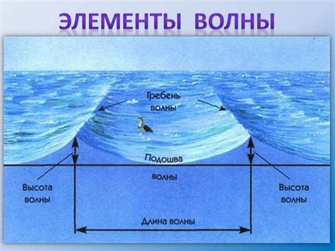 Волны и их загадочное движение