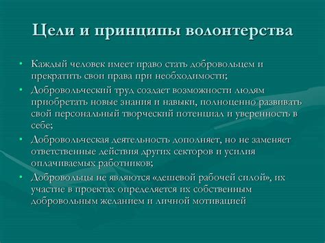 Волонтерское движение: значимость, цели и принципы