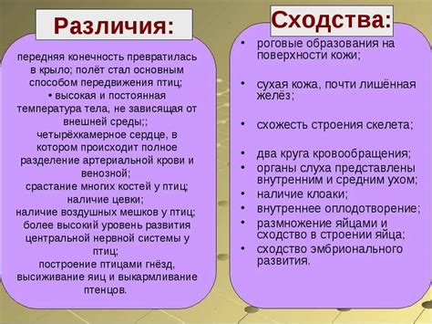 Волость и уезд: сходства и различия, особенности и определение