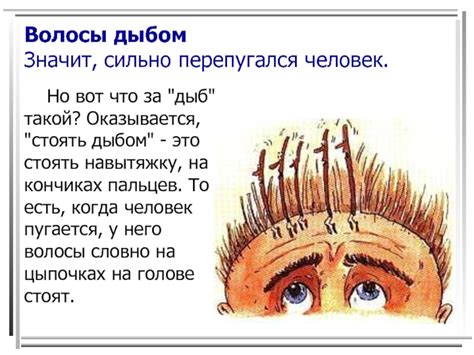 Волосы встали дыбом: значение и происхождение фразеологического выражения