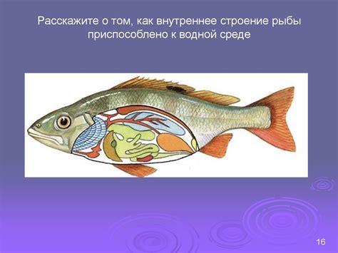 Волшебное присутствие: что символизирует рыба в мужском сновидении?