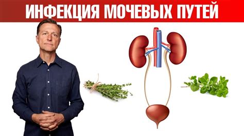 Воспаление мочевыводящих путей