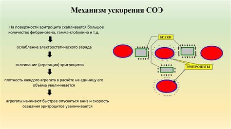 Воспалительные заболевания и изменение соотношения соэ и лейкоцитов