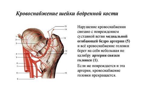 Воспалительные заболевания суставов, связанные с онемением