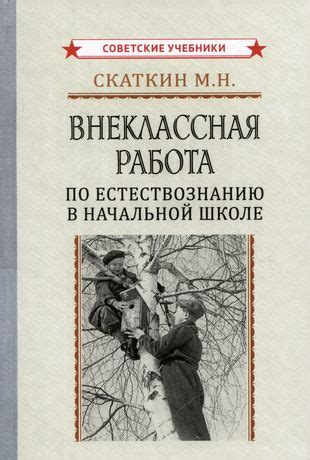 Воспитание в школе и внеклассная работа