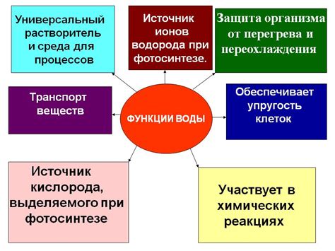 Восстановительная активность и ее роль в организме