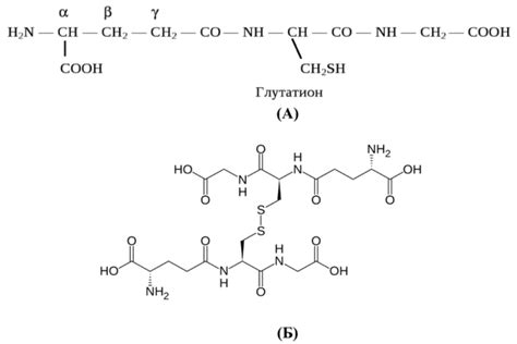 Восстановленные формы глутатиона