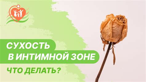 Вредные последствия сухости в интимной зоне