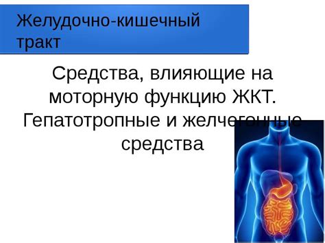 Вредные привычки, влияющие на желудочно-кишечный тракт