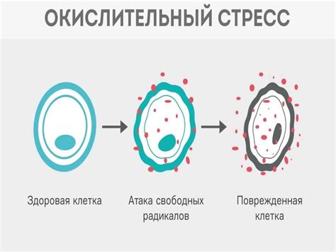 Вредные привычки и окислительный стресс