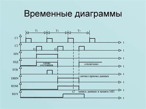 Временная зона Сирии: Главные факты