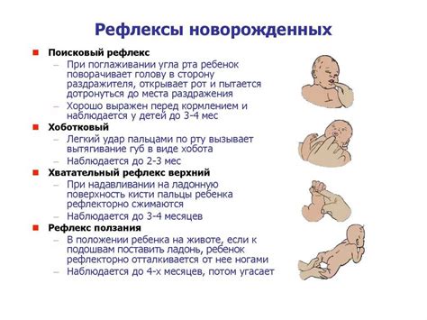 Врожденные аномалии рвотного рефлекса