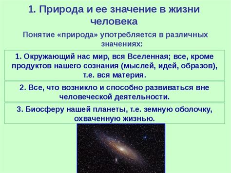 Вселенная в контексте человеческой жизни