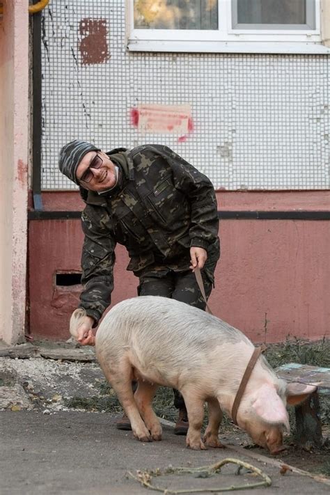 Встреча с "диким свиньей" на лугу: предупреждение о грядущих переменных в деловой сфере или важных проектах