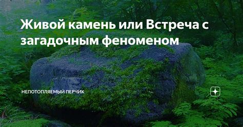 Встреча с загадочным созданием: мистические впечатления и необъяснимые явления