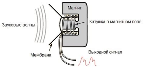 Встроенный микрофон: принцип работы и особенности