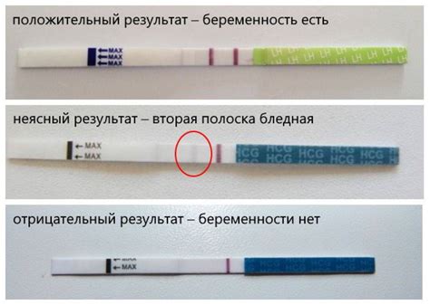 Вторая полоска на тесте