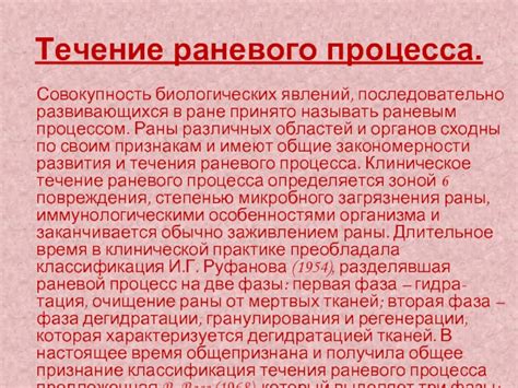 Вторая фаза раневого процесса