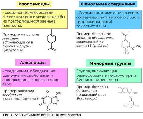 Вторичные радикалы: объяснение и примеры