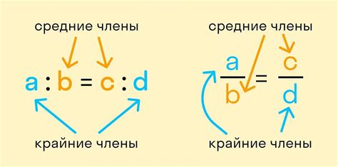 Второй пример пропорции: