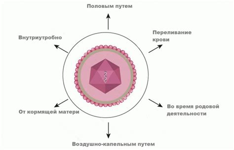 Второй тип вируса простого герпеса