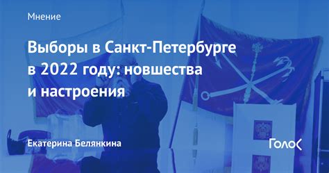 Выборы в Санкт-Петербурге