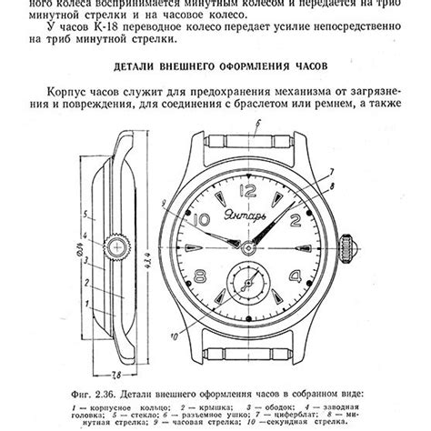 Выбор автоматических механических часов для разных стилей жизни