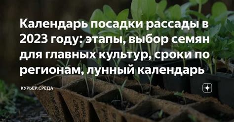 Выбор оптимального времени для обработки