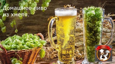 Выбор солода и хмеля для самостоятельного приготовления пива