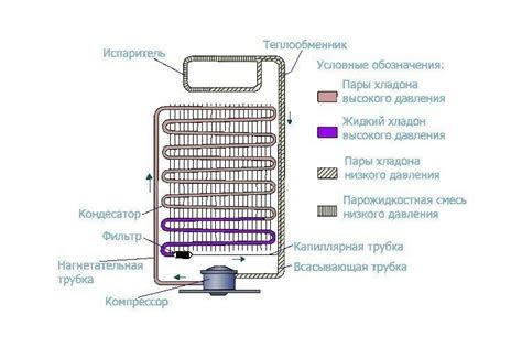 Выбор холодильной камеры с капельной системой размораживания