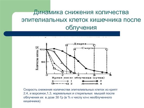 Выводы и рекомендации по увеличению количества эпителиальных клеток