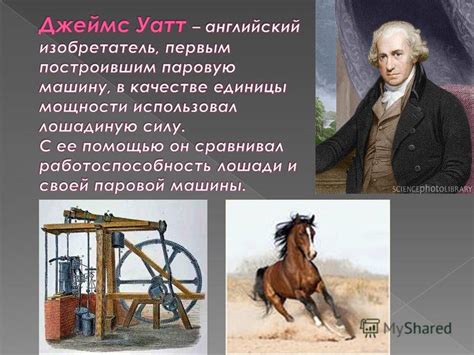 Выводы о понятии "человек бугор"