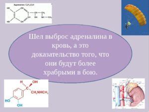 Выделение адреналина