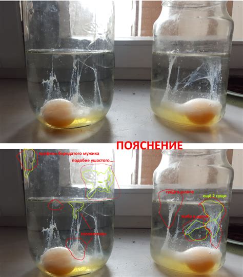 Выкатывание яйцами в традиционной кухне