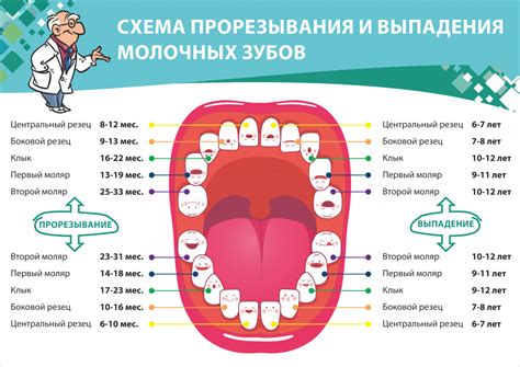 Выпадение зубов: предупреждение о неопределенности и неконтролируемых обстоятельствах