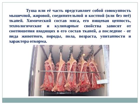 Выражение "кусок мяса" в значениях характера