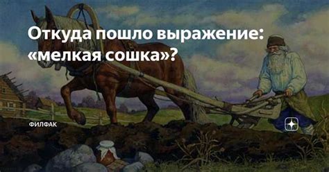 Выражение "не тушуйся" в русской культуре