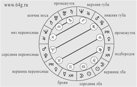 Выразительные черты лица: знаки и их значения