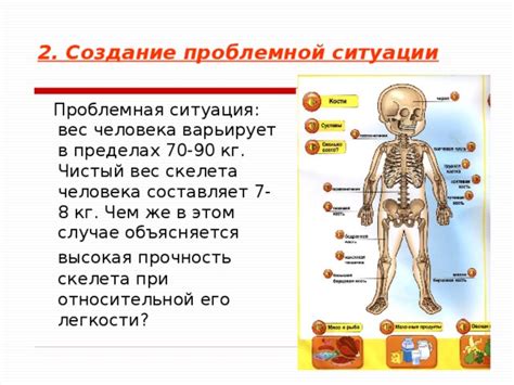 Высокая прочность скелета