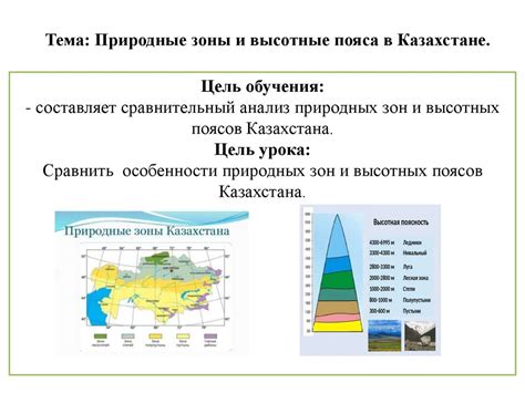 Высотные пояса: понятие и важность