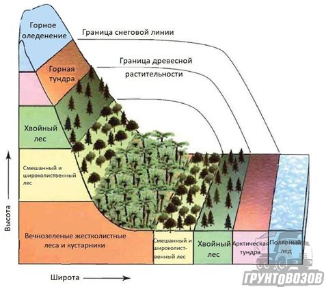 Высотный пояс и воздушное движение