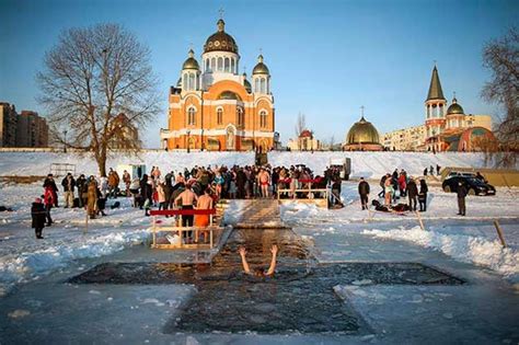 Вытаскивание щенят из воды в сновидениях: значение и символика