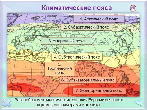 В каких климатических условиях наиболее распространено морозило ночью?