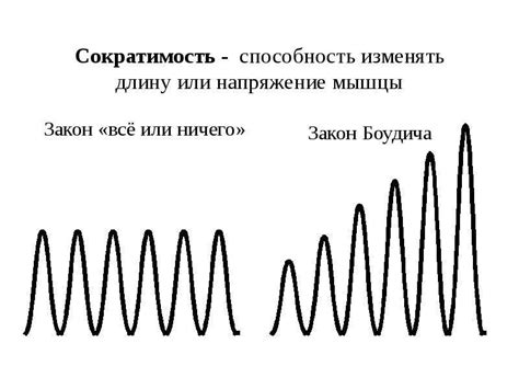 В поддержании оптимального кровообращения