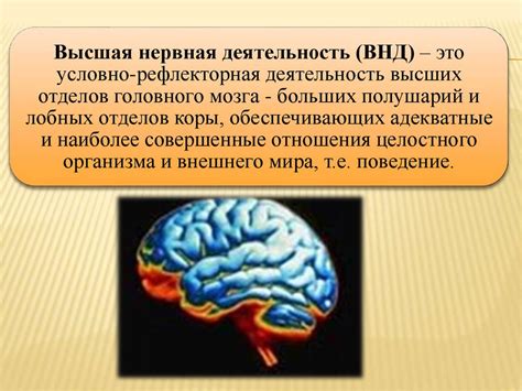 В чем заключается важность наипрекраснейшего человека?