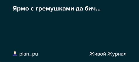 В чем заключается значение ярма с гремушками и бич?