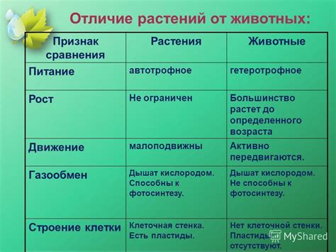 В чем отличие "Форы ноль" от других видов фор?