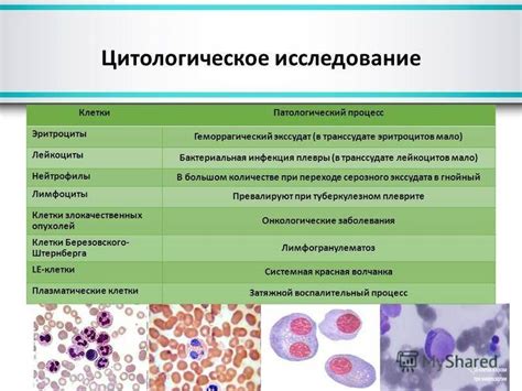 В чем отличие цитологии 1 степени от других степеней?