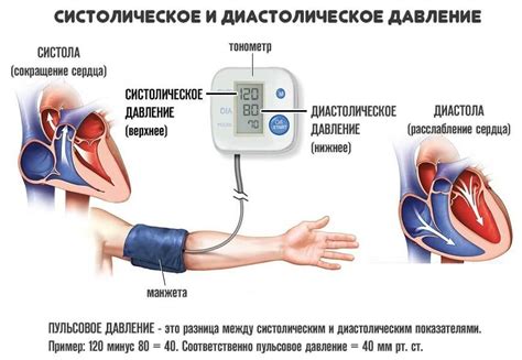 В чем разница между высоким и низким диастолическим давлением?