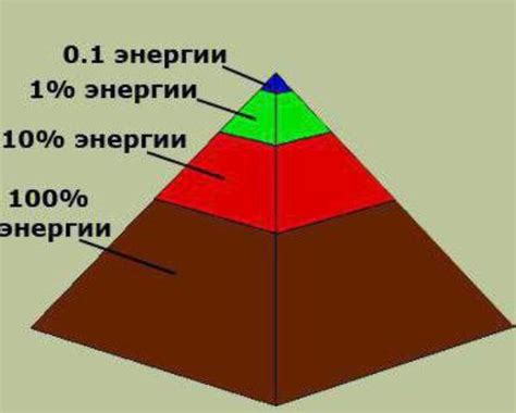 В чем суть ТПО в экологии